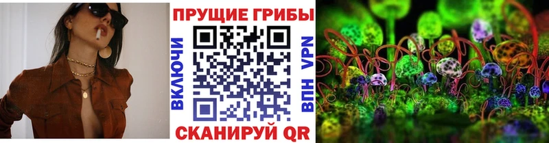 цены наркотик Красногорск Псилоцибиновые грибы ЛСД